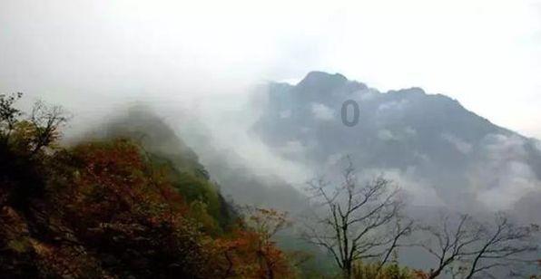 五彩猫碰碰碰