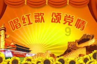 蜜蜂救援