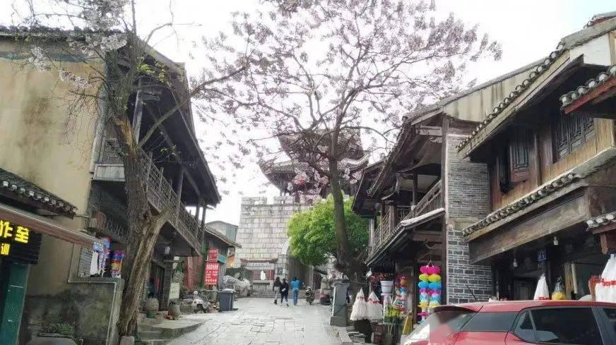 探索征什么斗地主的知识星球,开启你的学习旅程